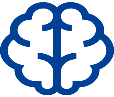 brain 1